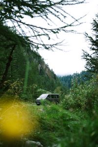 Preview wallpaper van, mountain, trees, grass, nature