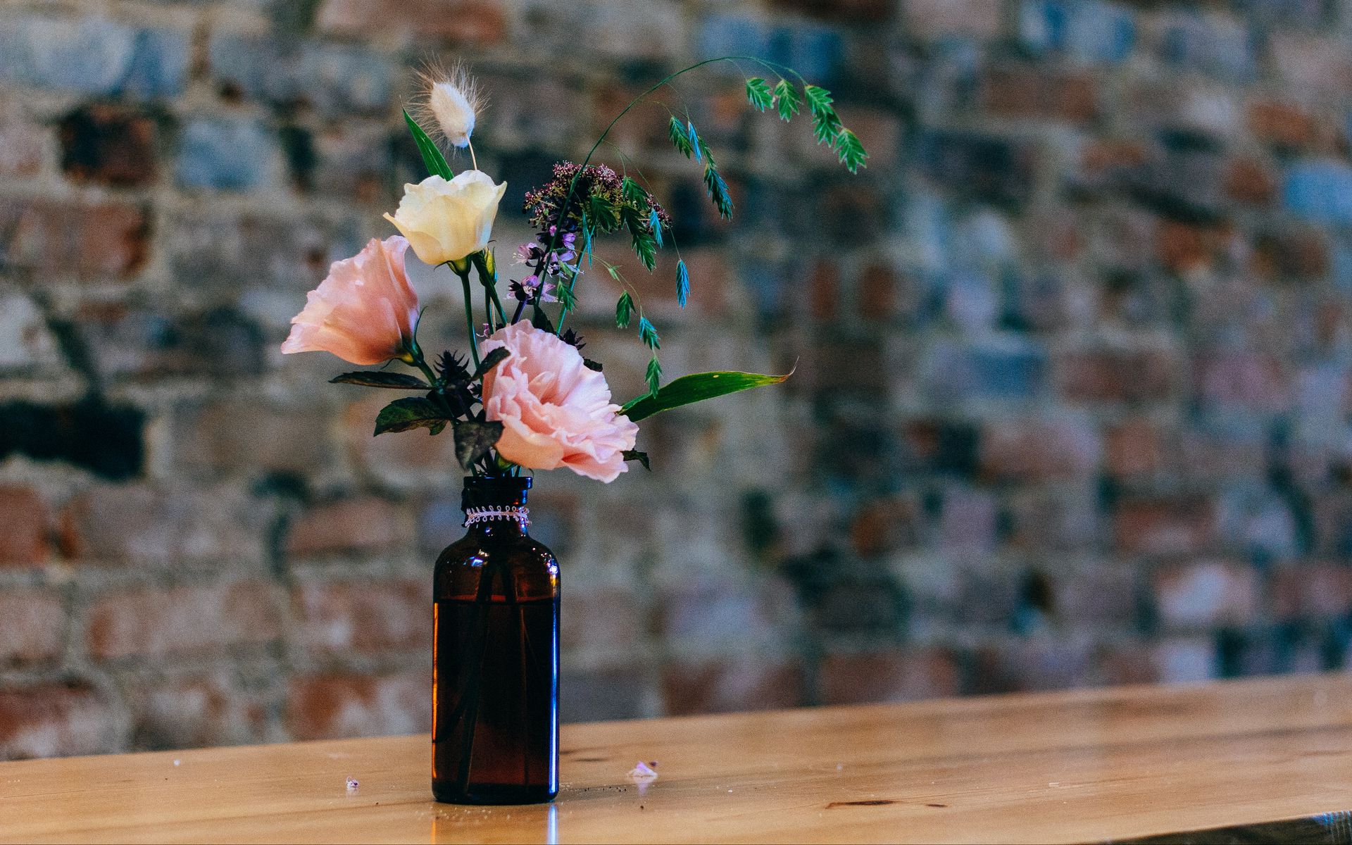 1920x1200 Wallpaper vase, bottle, flowers