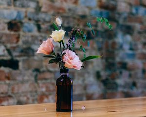 Preview wallpaper vase, bottle, flowers