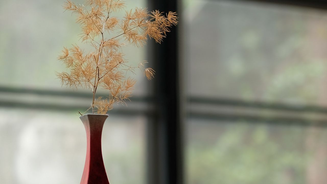 Wallpaper vase, bouquet, branches
