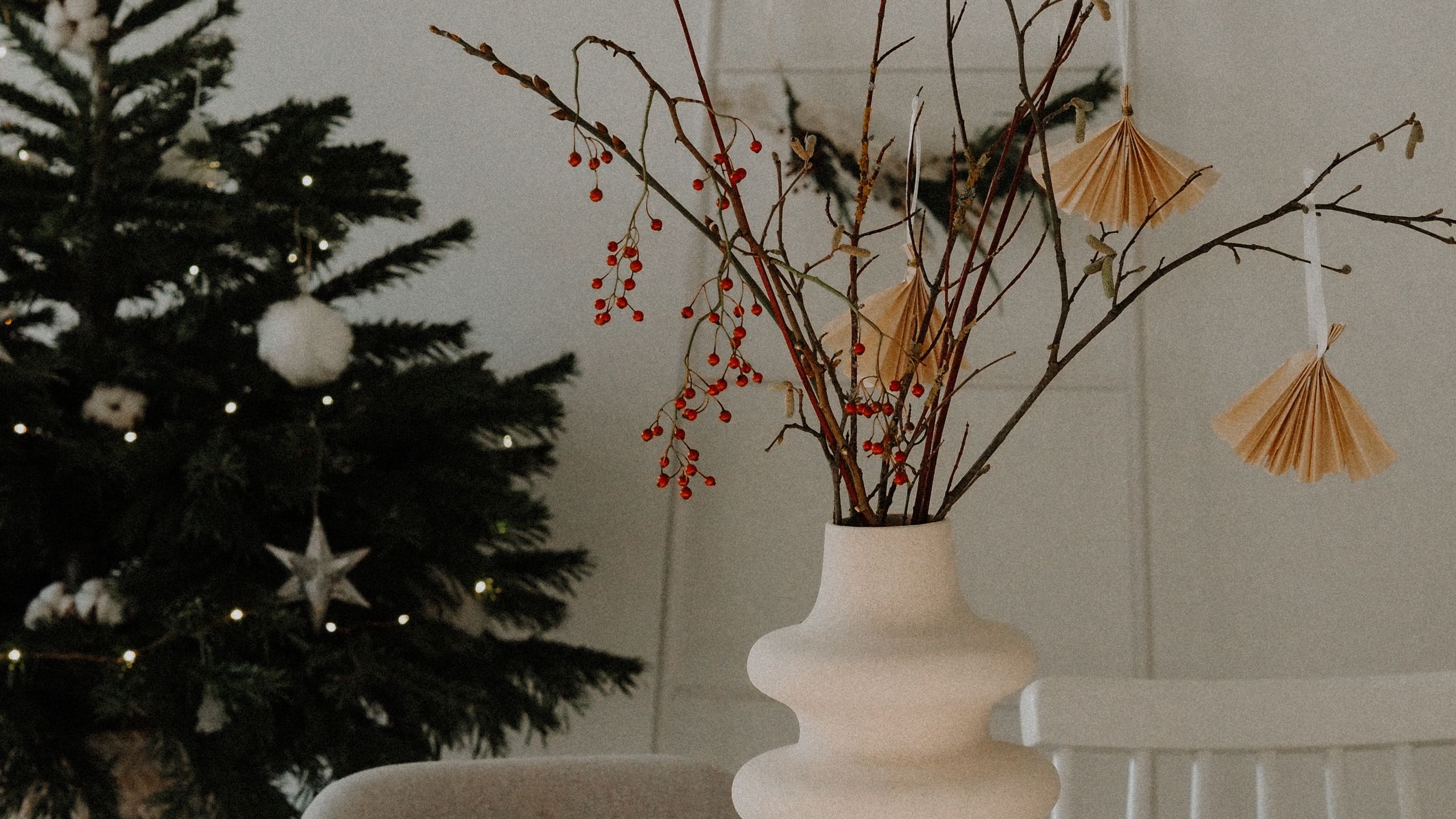 2560x1440 Wallpaper vase, branches, bouquet, light, aesthetics