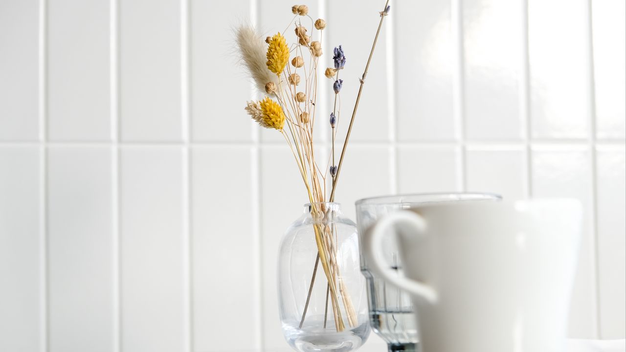 Wallpaper vase, dried flower, cup, white, aesthetics