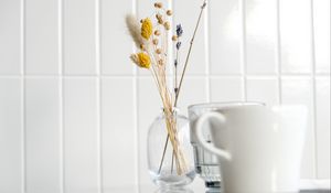 Preview wallpaper vase, dried flower, cup, white, aesthetics