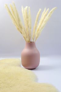 Preview wallpaper vase, dried flower, fur, aesthetics, light
