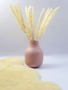 Preview wallpaper vase, dried flower, fur, aesthetics, light