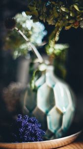 Preview wallpaper vase, flowers, dried flowers, blur