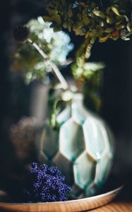 Preview wallpaper vase, flowers, dried flowers, blur