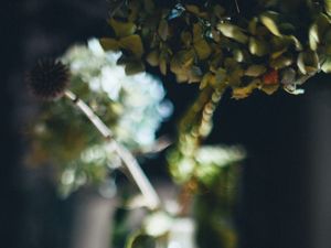 Preview wallpaper vase, flowers, dried flowers, blur