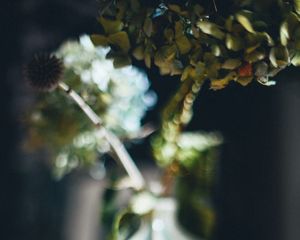 Preview wallpaper vase, flowers, dried flowers, blur