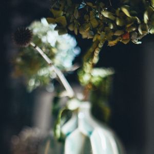 Preview wallpaper vase, flowers, dried flowers, blur