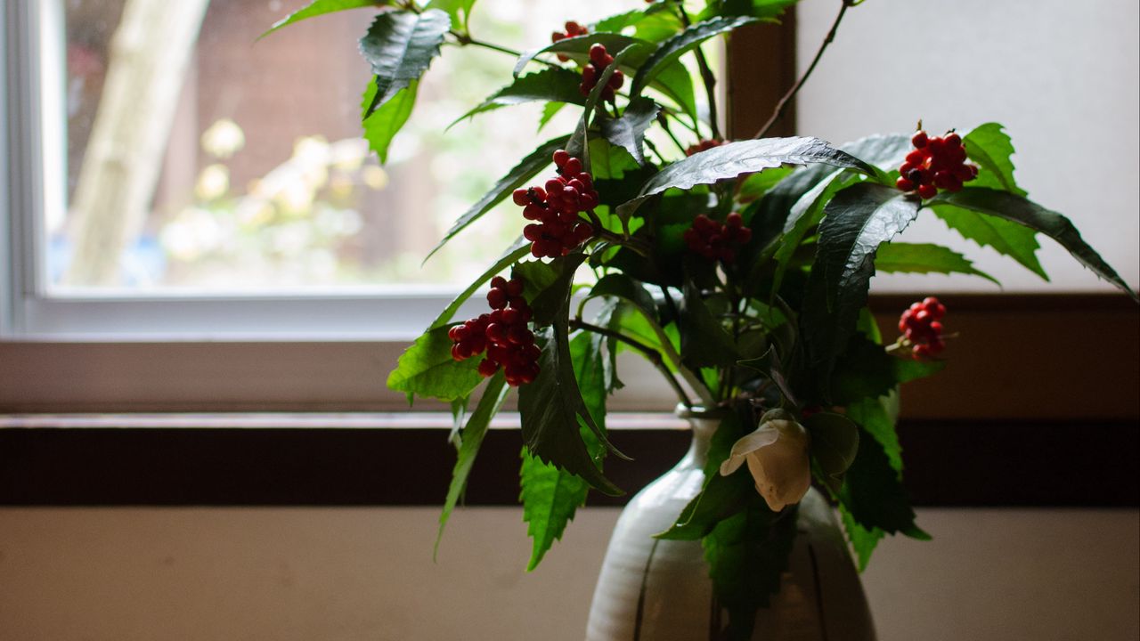Wallpaper vase, plant, branches, berries, window