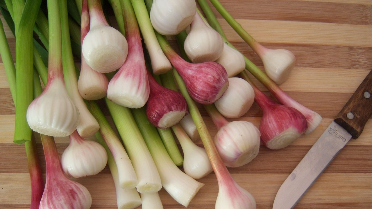 Wallpaper vegetables, garlic, cutting board, knife