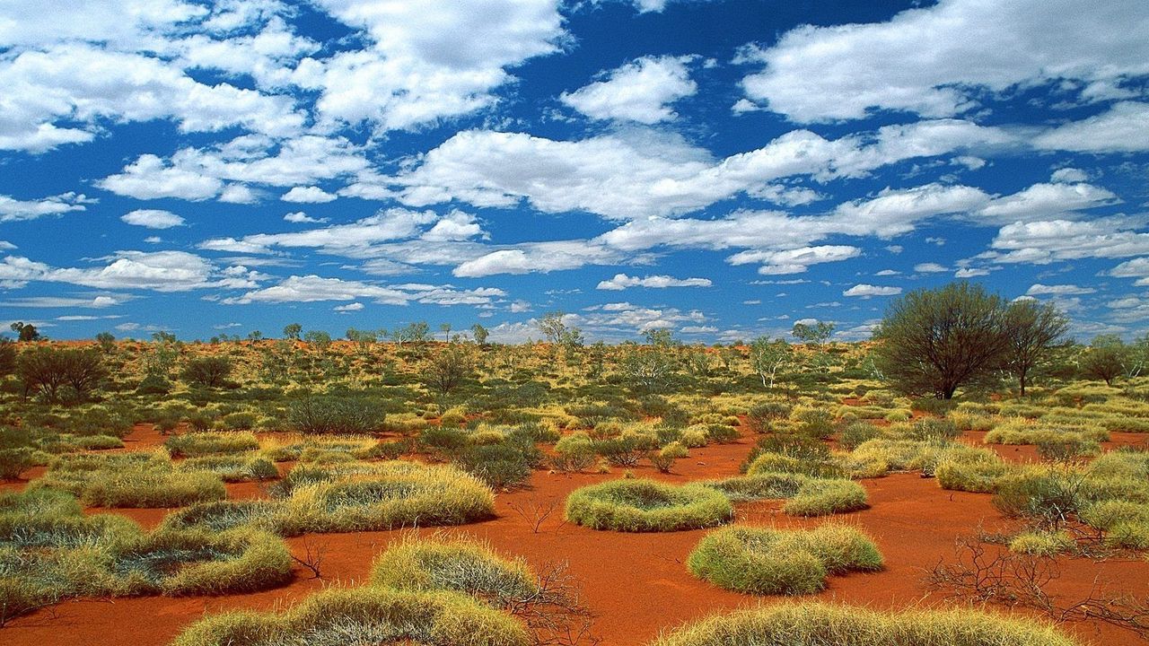 Wallpaper vegetation, sand, clouds, sky, australia