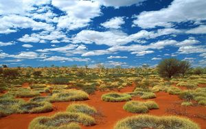 Preview wallpaper vegetation, sand, clouds, sky, australia