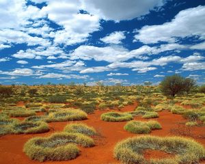 Preview wallpaper vegetation, sand, clouds, sky, australia