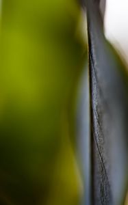 Preview wallpaper veins, leaf, green, blur, macro