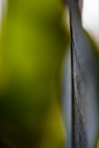 Preview wallpaper veins, leaf, green, blur, macro