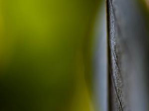 Preview wallpaper veins, leaf, green, blur, macro
