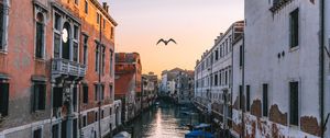 Preview wallpaper venice, italy, canal, seagull, river