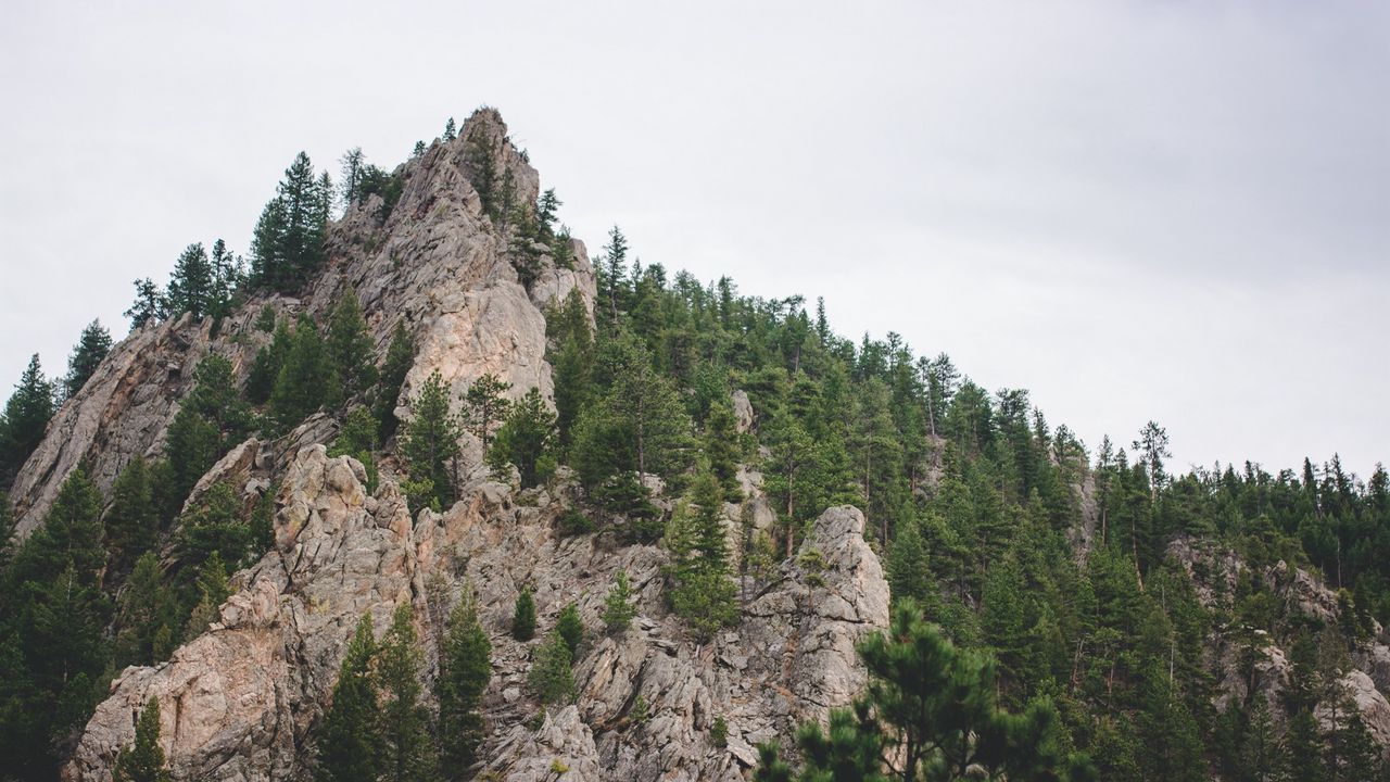 Wallpaper vertex, mountain, trees