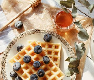 Preview wallpaper viennese waffles, blueberries, berries, honey