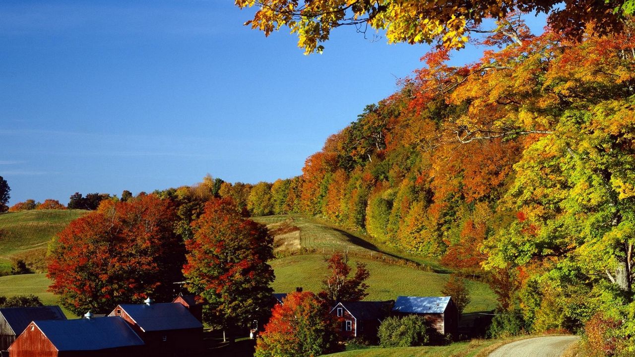 Wallpaper village, autumn, houses, trees, meadows