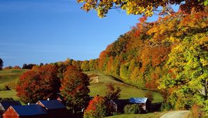 Preview wallpaper village, autumn, houses, trees, meadows