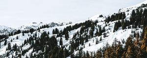 Preview wallpaper village, forest, snow, snowy, mountains