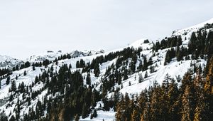 Preview wallpaper village, forest, snow, snowy, mountains