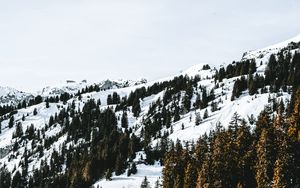 Preview wallpaper village, forest, snow, snowy, mountains