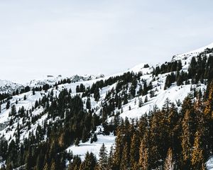 Preview wallpaper village, forest, snow, snowy, mountains