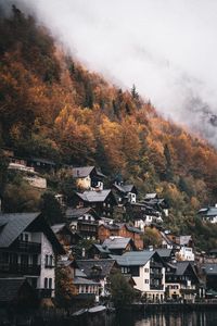 Preview wallpaper village, houses, mountain, slope, trees