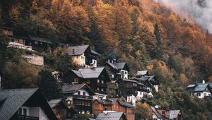 Preview wallpaper village, houses, mountain, slope, trees