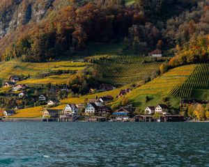 Preview wallpaper village, lake, shore, houses, fields, landscape