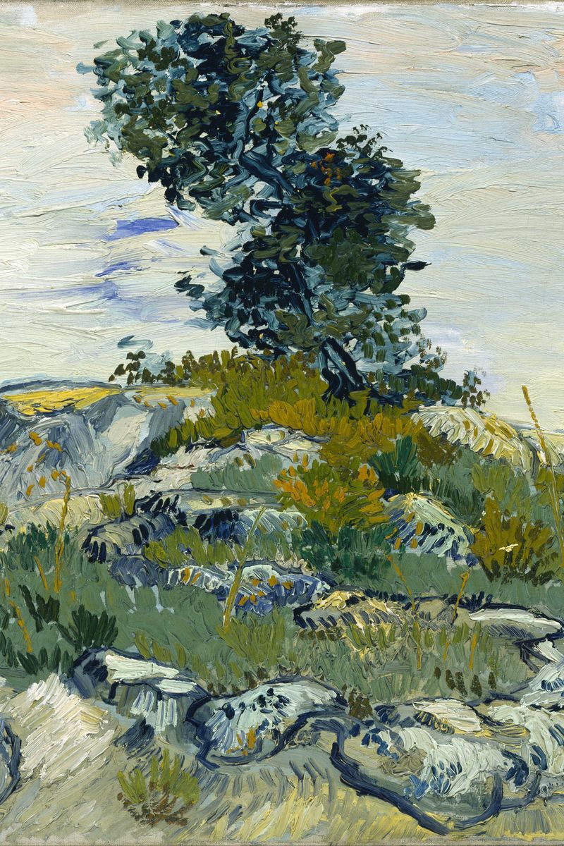Hình nền Van Gogh với cảnh đá và cây sồi sẽ mang đến cho bạn cảm giác như được ẩn náu và được khám phá một thế giới mới lạ. Hãy cho phép mình trầm mình trong màu sắc tuyệt đẹp của tác phẩm nghệ thuật này và cảm nhận sự bình yên và xúc động từ đó.
