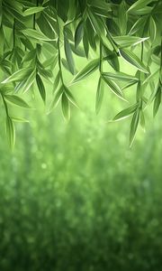Preview wallpaper vines, greenery, jungle, green