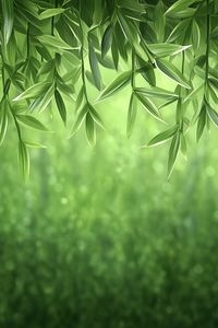 Preview wallpaper vines, greenery, jungle, green