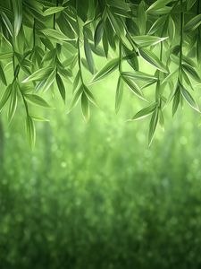 Preview wallpaper vines, greenery, jungle, green