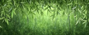 Preview wallpaper vines, greenery, jungle, green