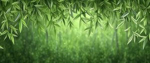 Preview wallpaper vines, greenery, jungle, green