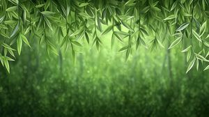 Preview wallpaper vines, greenery, jungle, green
