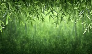 Preview wallpaper vines, greenery, jungle, green