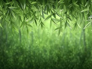 Preview wallpaper vines, greenery, jungle, green