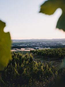 Preview wallpaper vineyards, fields, aerial view, nature, landscape