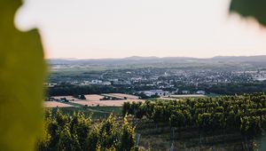 Preview wallpaper vineyards, fields, aerial view, nature, landscape