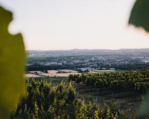 Preview wallpaper vineyards, fields, aerial view, nature, landscape