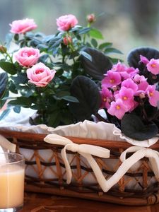 Preview wallpaper violet, blooms, roses, flowers, baskets, glass, drink