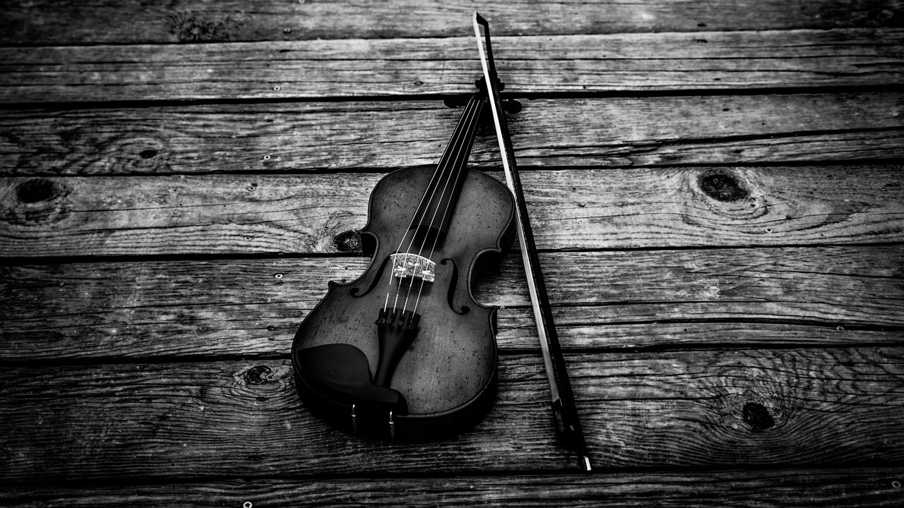 Wallpaper violin, bw, violin bow, musical instrument