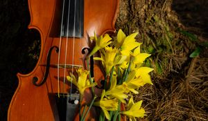 Preview wallpaper violin, musical instrument, flowers