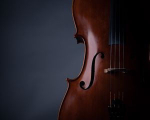 Preview wallpaper violin, musical instrument, music